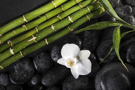 Bamboo sticks with black zen stones and white orchid on the black background. Spa conceptの写真素材