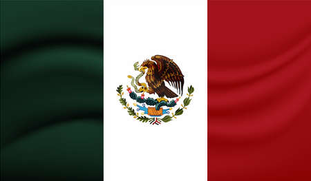 Grunge Mexico flag textured background. Vector illustrationのイラスト素材