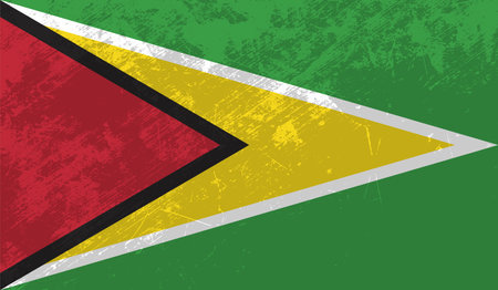 Guayana flag country isolated vector illustration designのイラスト素材