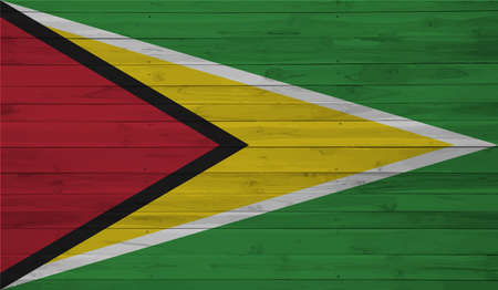 Guayana flag country isolated vector illustration designのイラスト素材