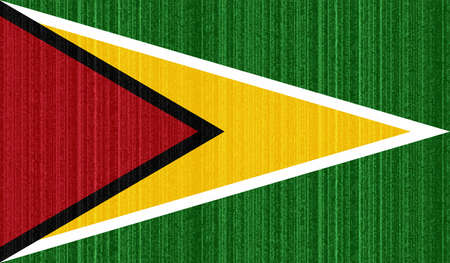 Guayana flag country isolated vector illustration designのイラスト素材