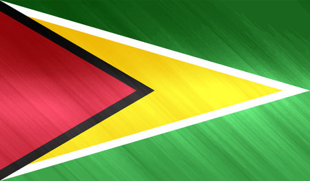 Guayana flag country isolated vector illustration designのイラスト素材