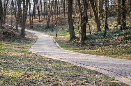 Stone road among the trees in the park Striysky in Lviv, Ukraine