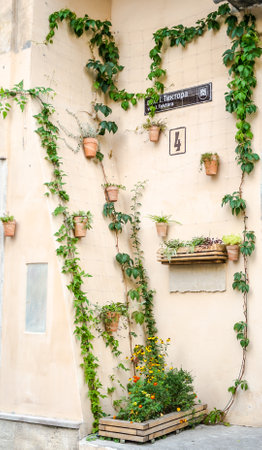 Wall House decorated with flowers in Lvivのeditorial素材