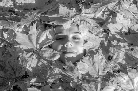 Face of a young woman with a beautiful girl lips with red lipstick and painted lashes which lies in the yellow maple leaves in autumn parkの写真素材