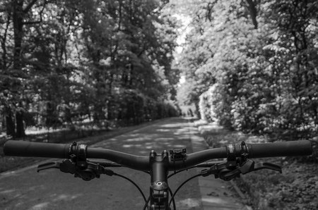 A mountain bike rudder during a walk through the summer parkの写真素材