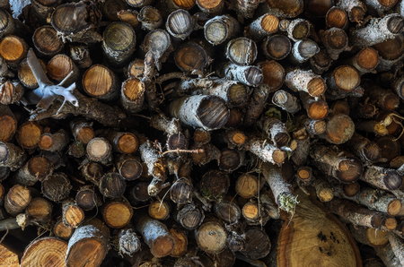 Wood firewood for fireplace and heating