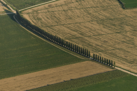 view from above green agriculture landscapeの写真素材