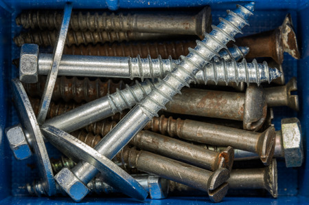 Fasteners bolts and nuts in the organizer