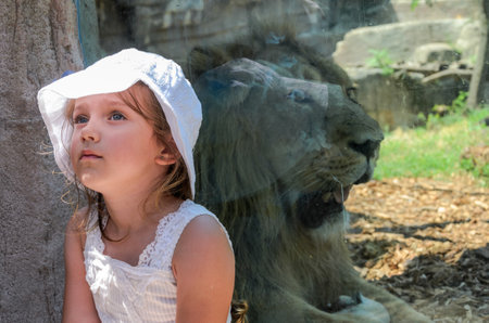 ROMA, ITALY - JULY 2019: Tourists at the zoo near the lionのeditorial素材