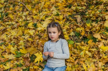 Little charming girl child throws up fallen yellow maple leaves in autumn parkの写真素材