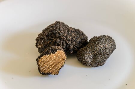 Raw black truffles on a plateの写真素材