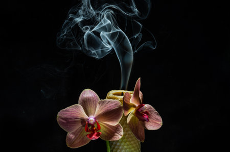 Smoke from an extinguished candle in orchid flowers isolated on a black backgroundの写真素材