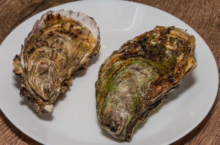 Fresh oysters on a white plateの写真素材