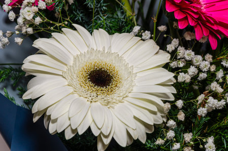 Beautiful bouquet of colorful flowersの写真素材