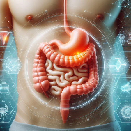 Digital illustration of human digestive system in color background. 3D renderingの素材