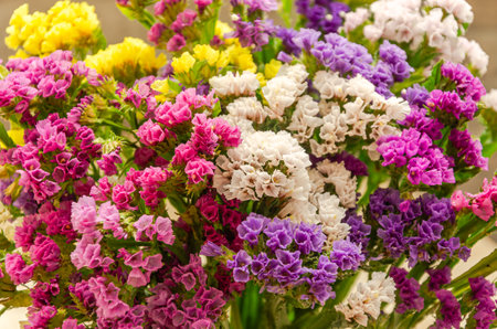 Bouquet of colorful statice flowers. Colorful flower backgroundの写真素材