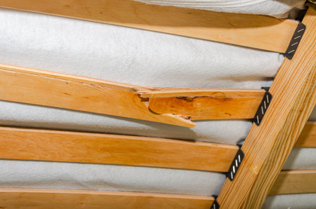 Wooden clothes hangers in a row, closeup of photoの写真素材