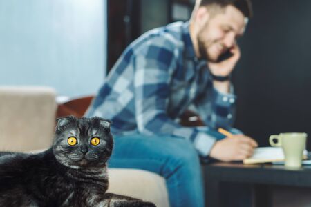 Nice black cat infront of young happy freelancer speeking on phone while working from homeの写真素材