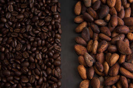 Coffee grains and unpeeled cacao grains on the dark backgroundの写真素材