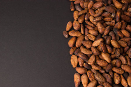 A lot of unpeeled cacao beanson the black background with place for textの写真素材