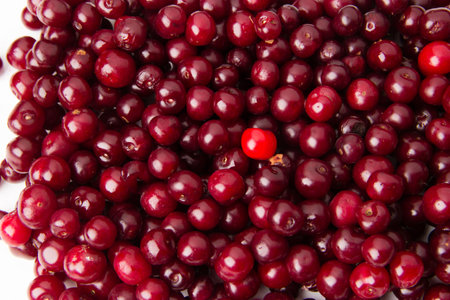 A lot of red cherries covering white tableの写真素材