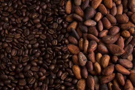 Roasted coffee grains with unpeeled cacao grainsの写真素材