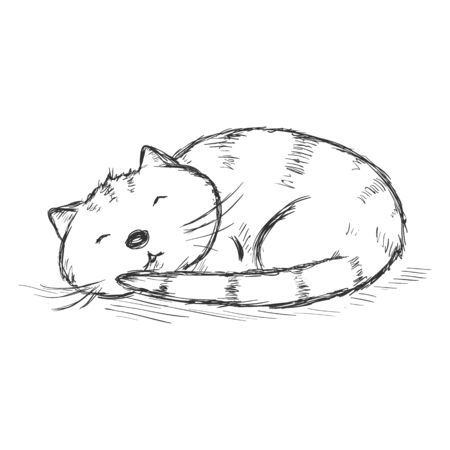 Vector Sketch Cartoon Character - Funny Sleeping Catのイラスト素材