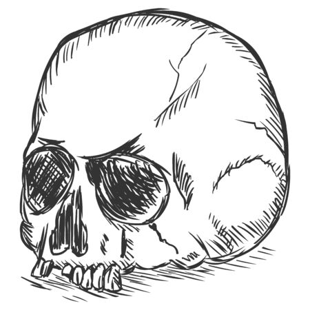 vector sketch illustration - old stale skull on White Backgroundのイラスト素材
