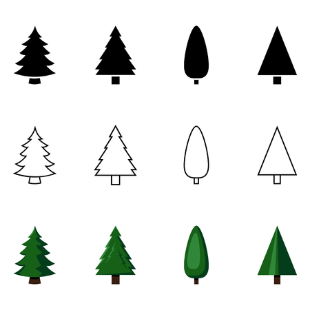 Vector Set of Different Styles Pine Tree Icons - Black Silhouette, Outline and Color Illustrations.のイラスト素材