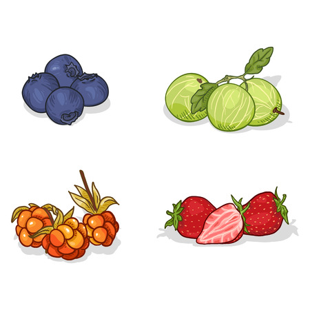 Vector Set of Cartoon Berry Piles. Blueberry, Gooseberry, Cloudberry and Srtrawberryのイラスト素材
