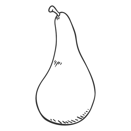 Vector Single Sketch Pearのイラスト素材