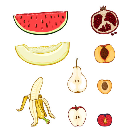 Vector Set of Cartoon Fruit Pieces. Melon, Watermelon, Pear, Banana and Apple, Plum, Pomegranate, Apricot, Peachのイラスト素材