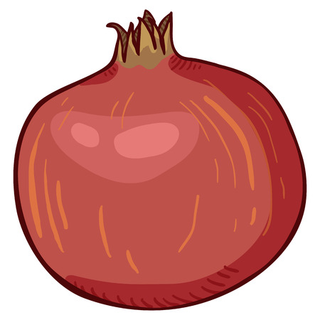 Vector Cartoon Red Pomegranateのイラスト素材