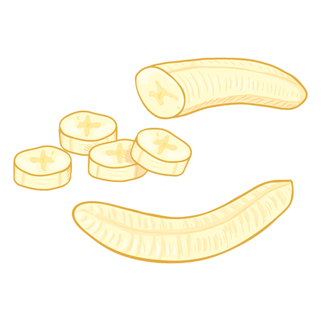 Vector Set of Cartoon Peeled Banana. Whole and Slicedのイラスト素材