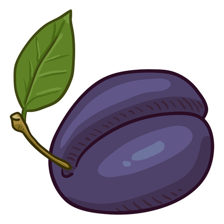 Vector Single Cartoon Plum with Green Leafのイラスト素材
