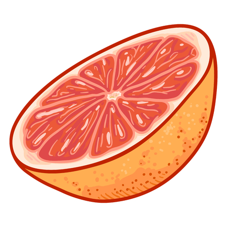 Vector Cartoon Grapefruit Half Cutのイラスト素材