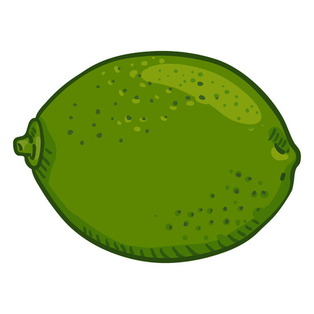 Vector Cartoon Lime Fruitのイラスト素材