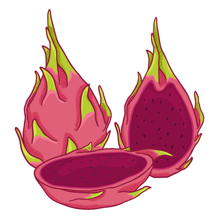 Vector Set of Cartoon Dragon Fruit Pitahaya with Purple Pulpのイラスト素材