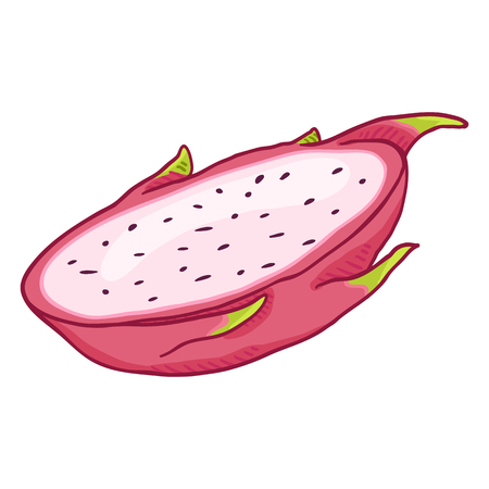 Vector Cartoon Half Cut Pitahaya Dragon Fruitのイラスト素材