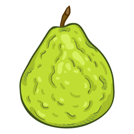 Vector Cartoon Whole Green Guava Fruitのイラスト素材