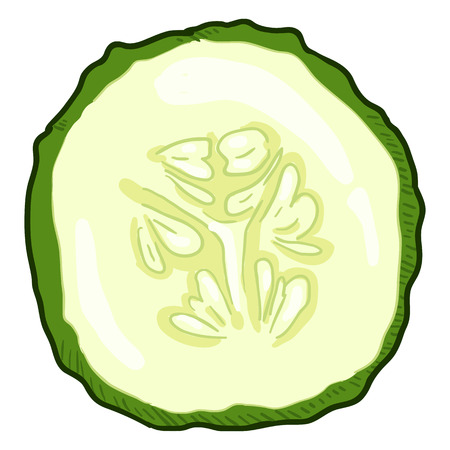 Vector Cartoon Round Cucumber Sliceのイラスト素材