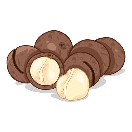 Cartoon Illustration - Pile of Macadamia Nutsのイラスト素材