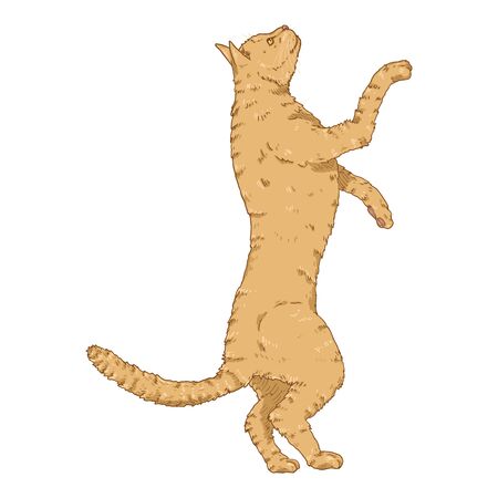 Cat Asking for Food or Attention. Vector Cartoon Feline Illustrationのイラスト素材