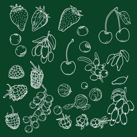 Vector Chalk Sketch Set of Different Berriesのイラスト素材
