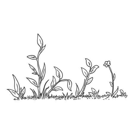 Vector Hand Drawn Sketch Wild Growth Grassのイラスト素材
