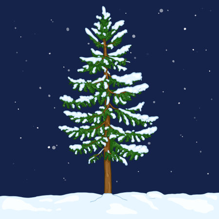 Vector Cartoon Spruce in Snowy Winter Night. Evergreen Conifer Treeのイラスト素材