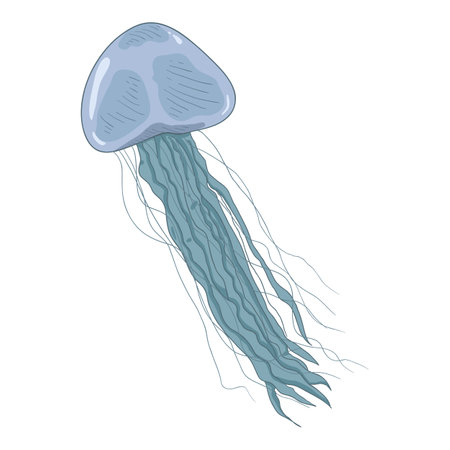 Vector Cartoon Jellyfish on White Backgroundのイラスト素材