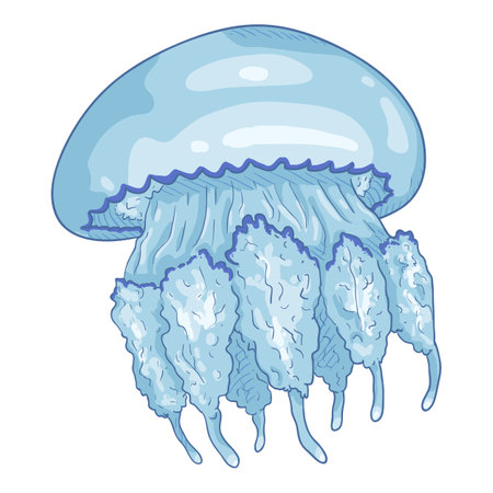 Vector Cartoon Jellyfish on White Backgroundのイラスト素材