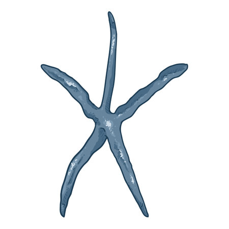Vector Cartoon Blue Starfish Illustrationのイラスト素材